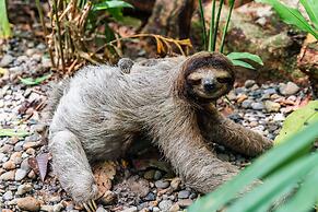 Hotel Eclypse de Mar Acqua Lodge