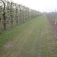 Agriturismo Dosso al Porto