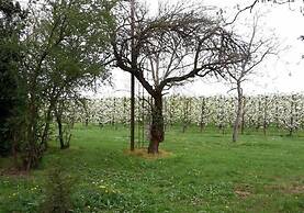 Agriturismo Dosso al Porto