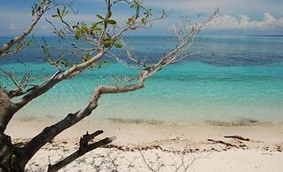 Malapascua Beach and Dive Resort