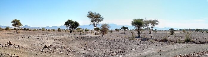 Hotel Kasbah Tissint