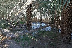 Hotel Kasbah Tissint