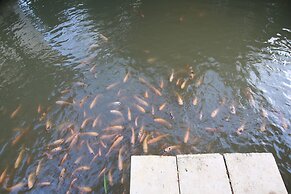 Baan Suan Nuanta