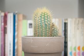 Flattered to be in Lisboa