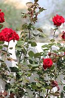 Intorno al Fico Hotel