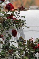 Intorno al Fico Hotel