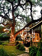 Park Lane Guest House