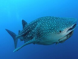 Food District Hostel Cebu Central