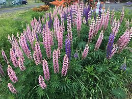 Pension Natsumi no Sato