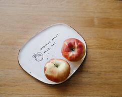 SPA VILNIUS Anyksciai