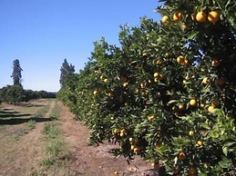 Happy Lands Self Catering B&B