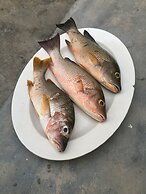 Teetotum Hotel Restaurant Lounge