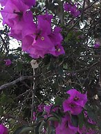 Teetotum Hotel Restaurant Lounge