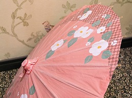 Yufuin Besso Shikisai Hotel