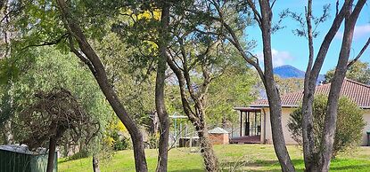 Serendipity On Barrington