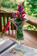The Hummingbird