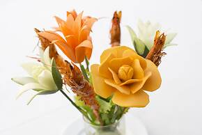 Secret Halong Cruise