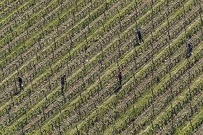 Querceto di Castellina