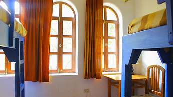 Posada del Maple - Hostel