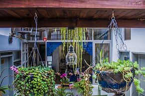 Posada del Maple - Hostel