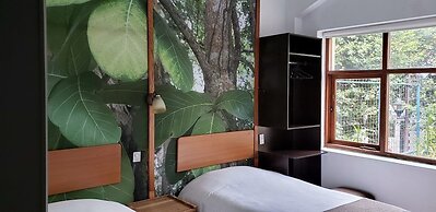 Posada del Maple - Hostel