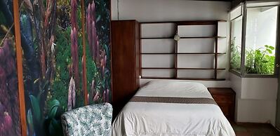 Posada del Maple - Hostel