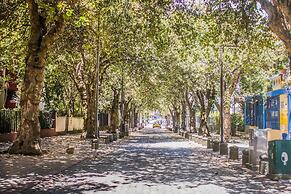 Posada del Maple - Hostel