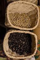 Hotel Hacienda Bambusa