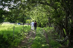 Hotel Hacienda Bambusa