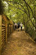 Hotel Hacienda Bambusa