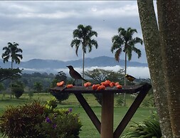 Hotel Hacienda Bambusa