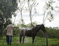 Hotel Hacienda Bambusa