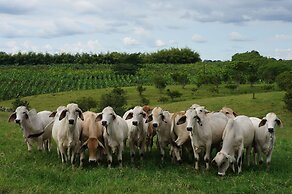 Hotel Hacienda Bambusa
