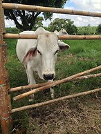 Hotel Hacienda Bambusa