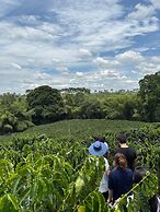 Hotel Hacienda Bambusa