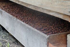 Hotel Hacienda Bambusa