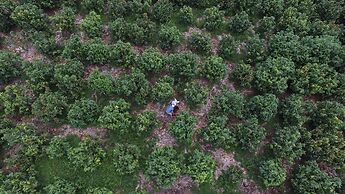 Hotel Hacienda Bambusa