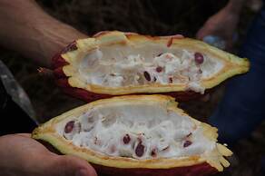 Hotel Hacienda Bambusa