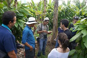 Hotel Hacienda Bambusa