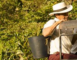 Hotel Hacienda Bambusa