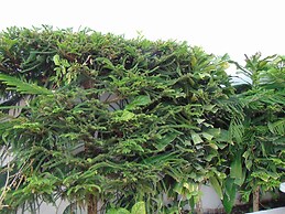 Departamentos Villas Capdeviel