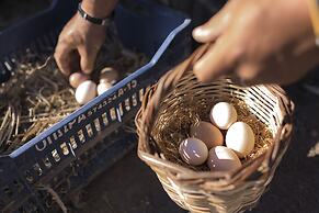 Sperveri Boutique Hotel