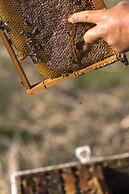 Sperveri Boutique Hotel