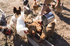 Sperveri Boutique Hotel