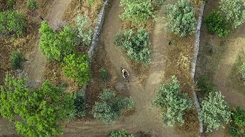 Green Island Resort Kea