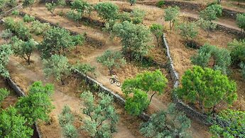 Green Island Resort Kea