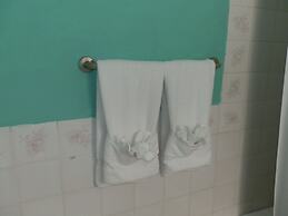 Paradise on the Rocks