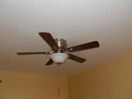 Paradise on the Rocks