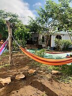 White House Galapagos