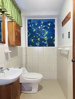 White House Galapagos